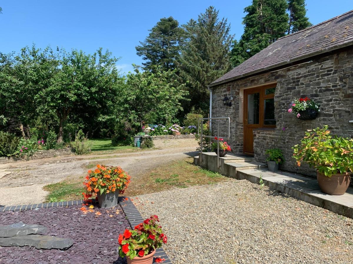 Parc Farm B&B Llanarth (Ceredigion) Exterior foto